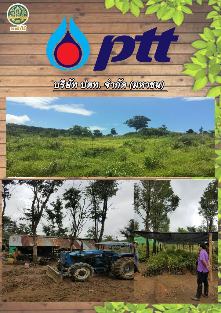 %e0%b8%9b%e0%b8%95%e0%b8%971