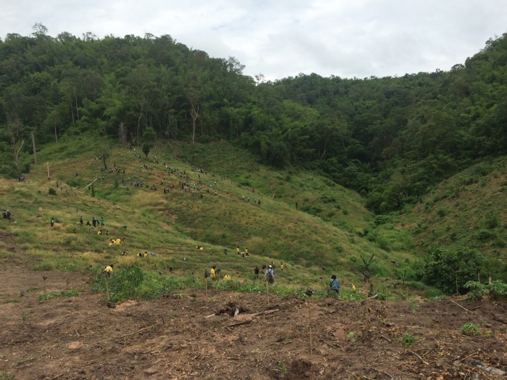 %e0%b9%81%e0%b8%9b%e0%b8%a5%e0%b8%87%e0%b8%9b%e0%b8%a5%e0%b8%b9%e0%b8%81%e0%b9%82%e0%b8%a3%e0%b8%9a%e0%b8%b4%e0%b8%99%e0%b8%aa%e0%b8%b1%e0%b8%99_44971