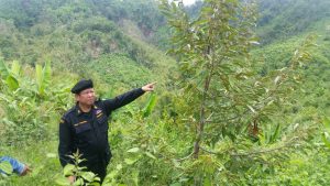 13529218_580324285475636_6916871876590581532_n