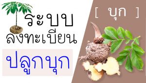 ระบบการลงทะเบียนบุก