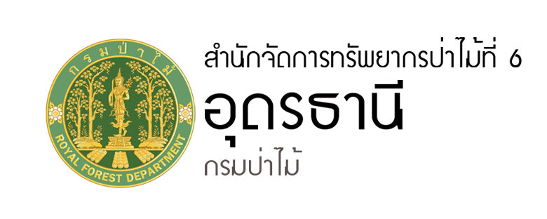 กลับไปหน้าแรก