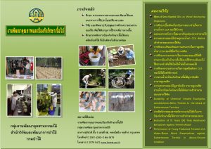แผ่นผับงานพัฒนาและป้องกันรักาาเนื้อไม้ (ปกไทย)ล่าสุด 14มค