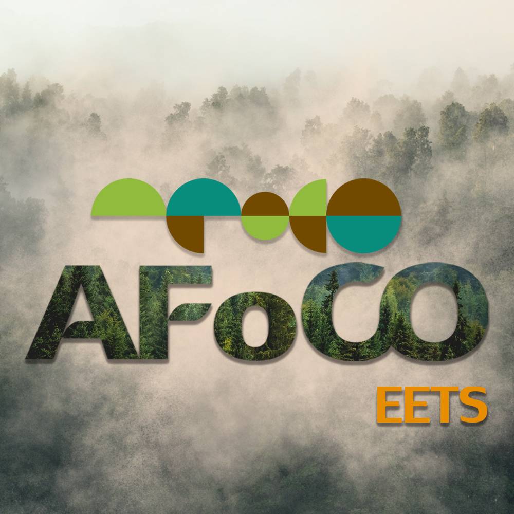 โครงการ AFoCO EETS