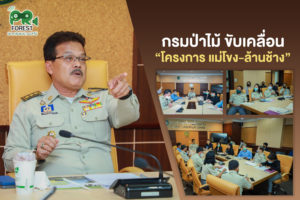 นายสมศักดิ์ สรรพโกศลกุล รองอธิบดีกรมป่าไม้ เป็นประธานในการประชุม ขับเคลื่อน “โครงการ แม่โขง-ล้านช้าง”