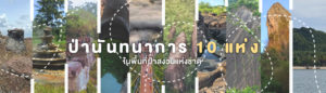 ป่านันทนาการ 10 แห่ง ในประเทศไทย