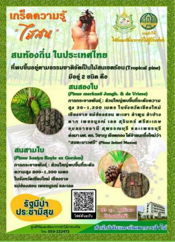 LINE_P20201214_205719697-742x1024