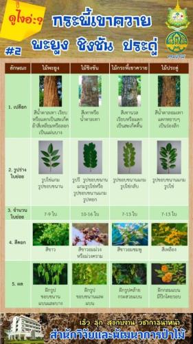 LINE_P20201214_205719706-576x1024