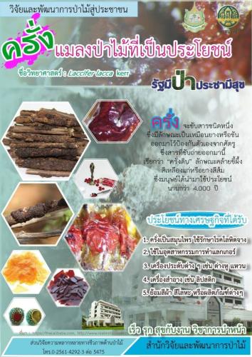 LINE_P20201214_205719730-724x1024