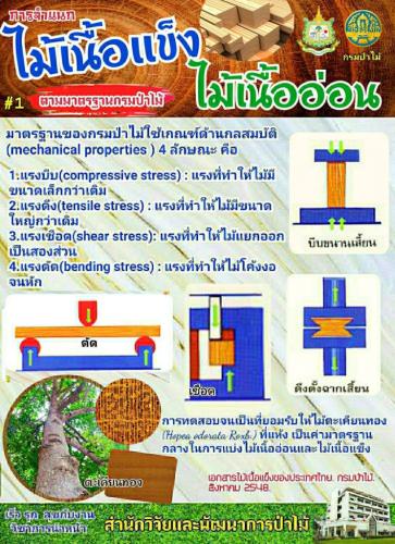 LINE_P20201214_205719733-744x1024