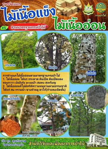 LINE_P20201214_205719744-744x1024