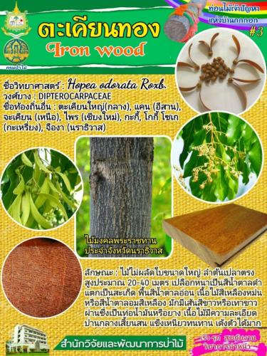 Onepage_๒๑๐๑๒๗_0