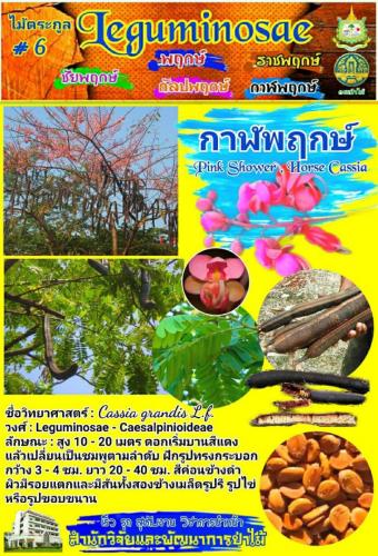 Onepage_๒๑๐๑๒๗_13