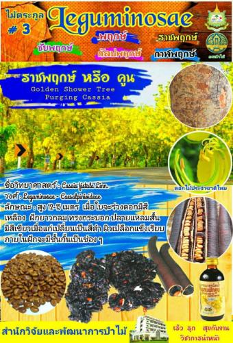 Onepage_๒๑๐๑๒๗_16