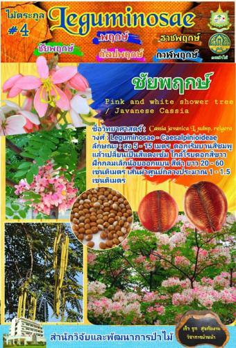 Onepage_๒๑๐๑๒๗_17