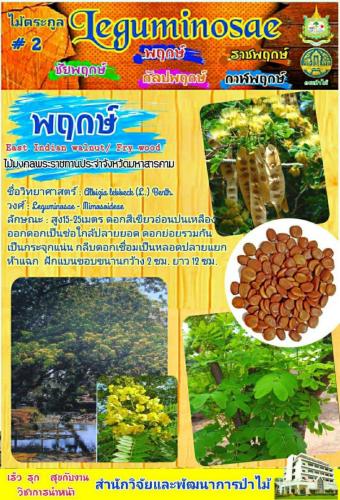 Onepage_๒๑๐๑๒๗_19