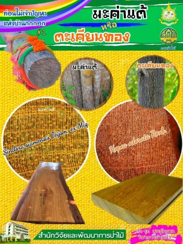 Onepage_๒๑๐๑๒๗_2