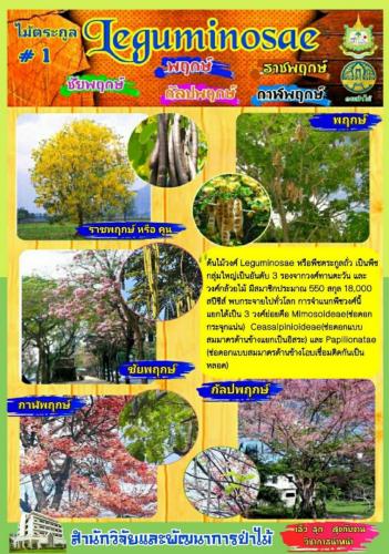 Onepage_๒๑๐๑๒๗_23