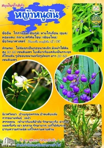 Onepage_๒๑๐๑๒๗_33