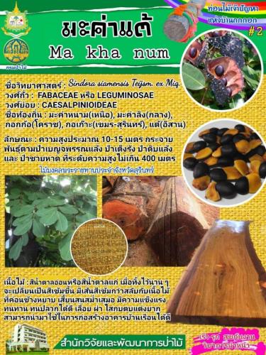 Onepage_๒๑๐๑๒๗_4