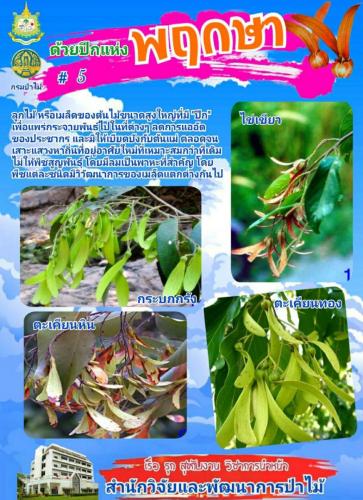 Onepage_๒๑๐๑๒๗_41