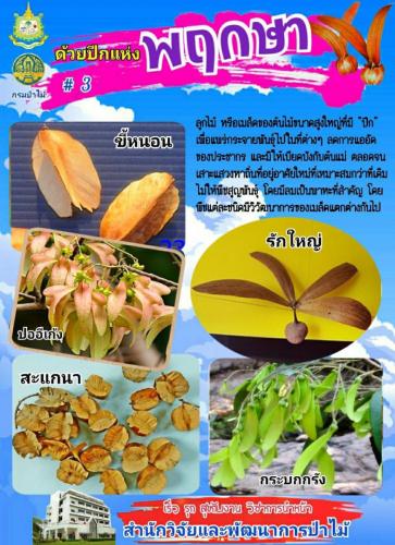 Onepage_๒๑๐๑๒๗_42