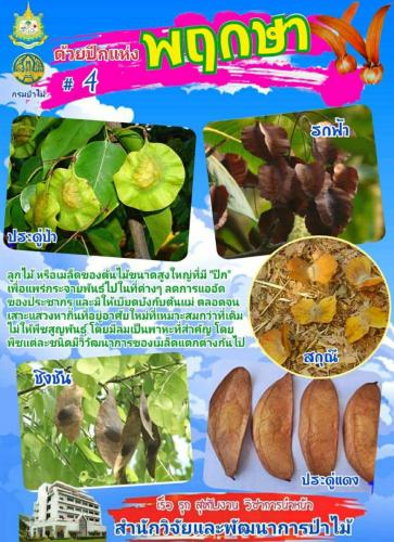 Onepage_๒๑๐๑๒๗_43