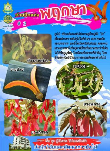 Onepage_๒๑๐๑๒๗_44