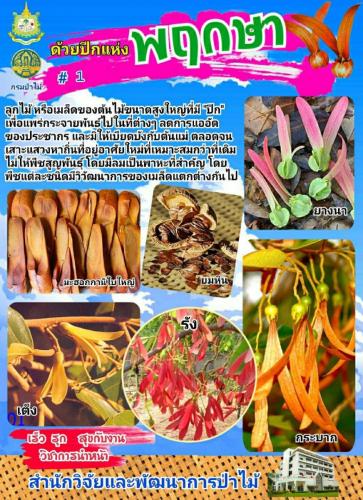 Onepage_๒๑๐๑๒๗_45