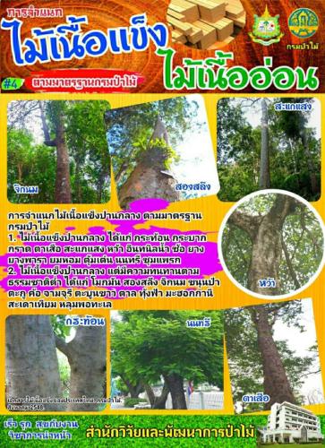 Onepage_๒๑๐๑๒๗_46