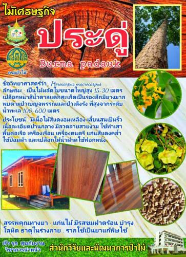 Onepage_๒๑๐๑๒๗_49