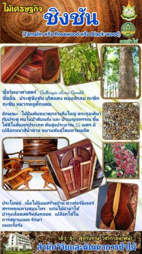 Onepage_๒๑๐๑๒๗_50