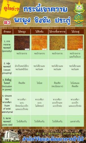 Onepage_๒๑๐๑๒๗_52