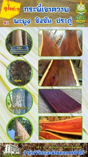 Onepage_๒๑๐๑๒๗_53