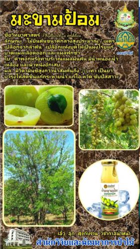 Onepage_๒๑๐๑๒๗_54