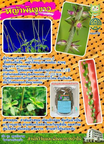 Onepage_๒๑๐๑๒๗_55