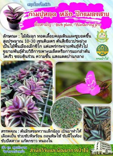 Onepage_๒๑๐๑๒๗_56