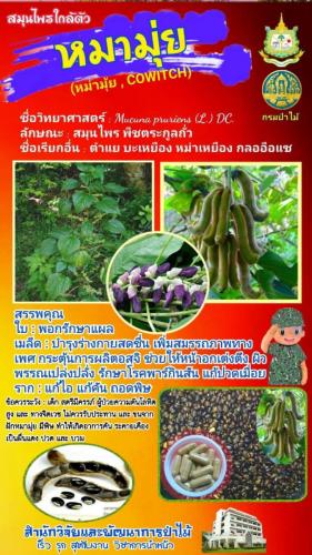 Onepage_๒๑๐๑๒๗_57