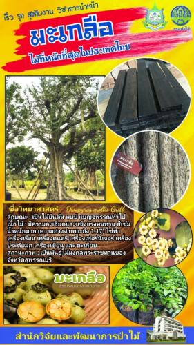 Onepage_๒๑๐๑๒๗_58