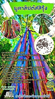 Onepage_๒๑๐๑๒๗_60