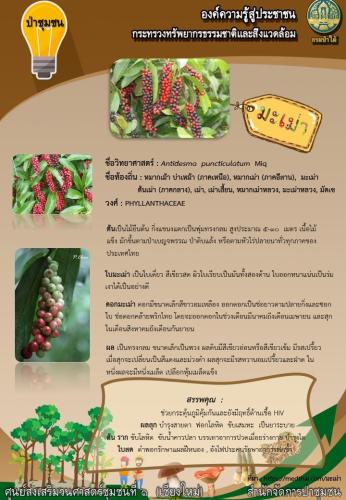 ศูนย์-1-เชียงใหม่_040362