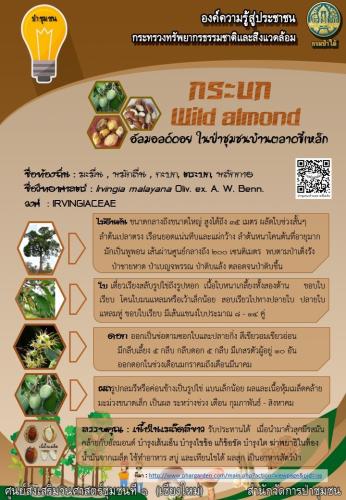 ศูนย์-1-เชียงใหม่_250362