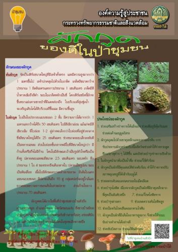 ศูนย์-10-ขอนแก่น-220362