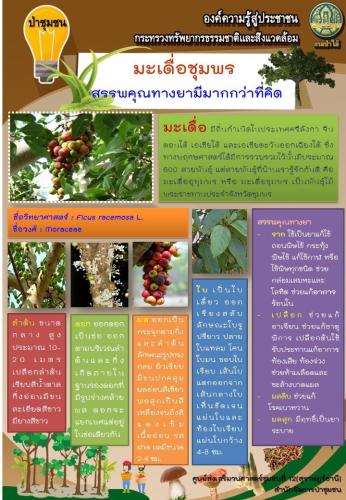 ศูนย์-12-090362