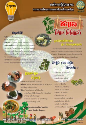 ศูนย์-2-040362