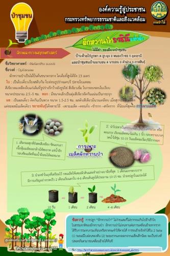 ศูนย์-3สกลนคร-190362