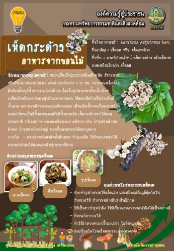 ศูนย์-4-ศรีสะเกษ-260362