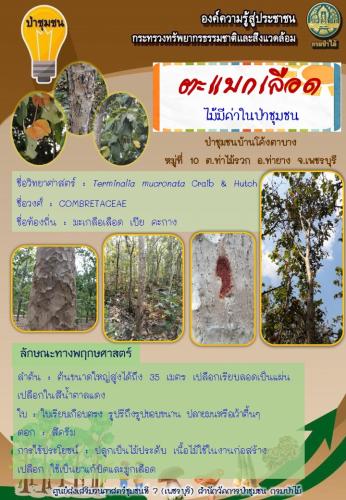 ศูนย์-7-เพชรฯ-280362