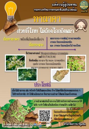 ศูนย์-9-ลำปาง-080362