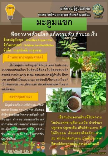 ศูนย์5-อุทัยธานี-130362