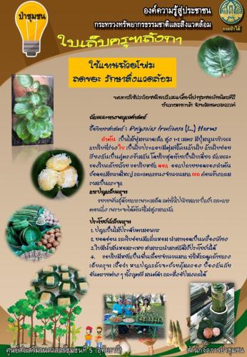 ศูนย์5-อุทัยธานี-270362